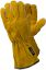 Afbeelding - https-www-ez-catalog-nl-Asset-a218e10cc3c2431f868bd164299d4e5c-ImageFullSize-1041286-jpg
